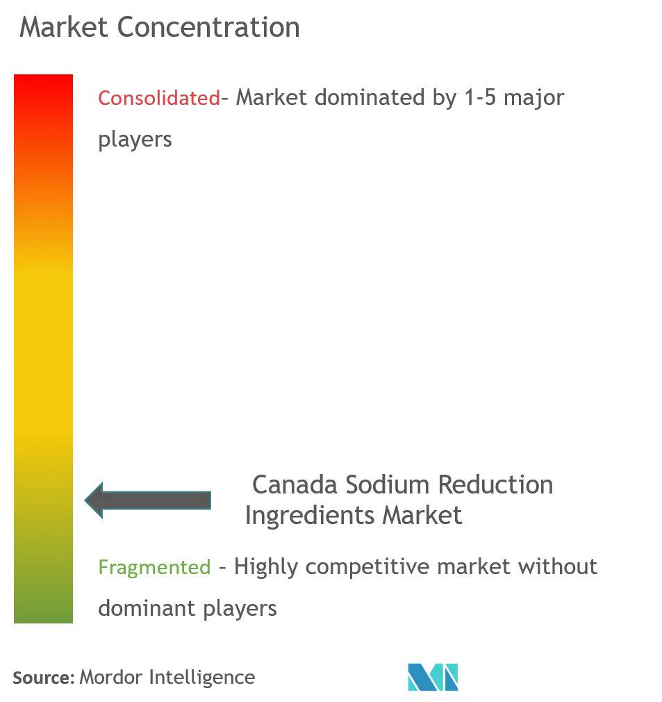 Canada Sodium Reduction Ingredients Market Concentration