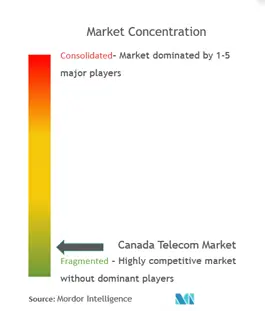 カナダテレコム市場集中度