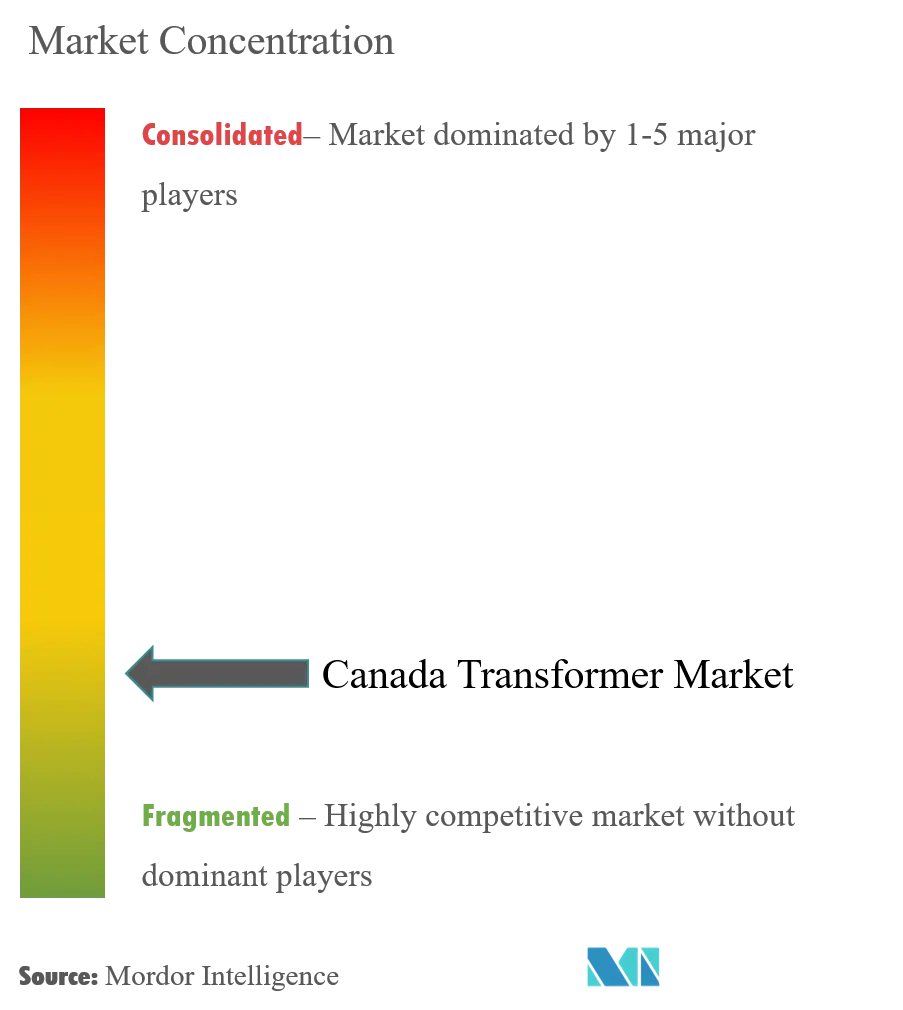 Canada Transformer Market Concentration