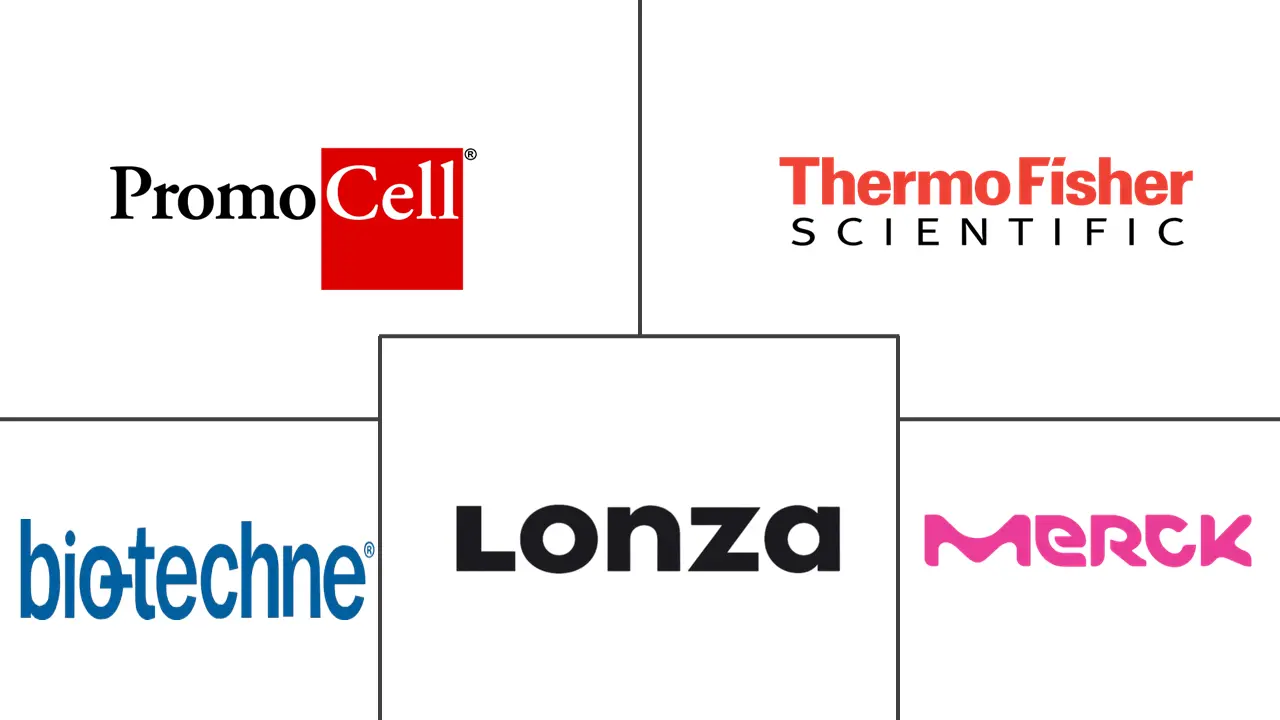 Logotipo de empresas relacionadas