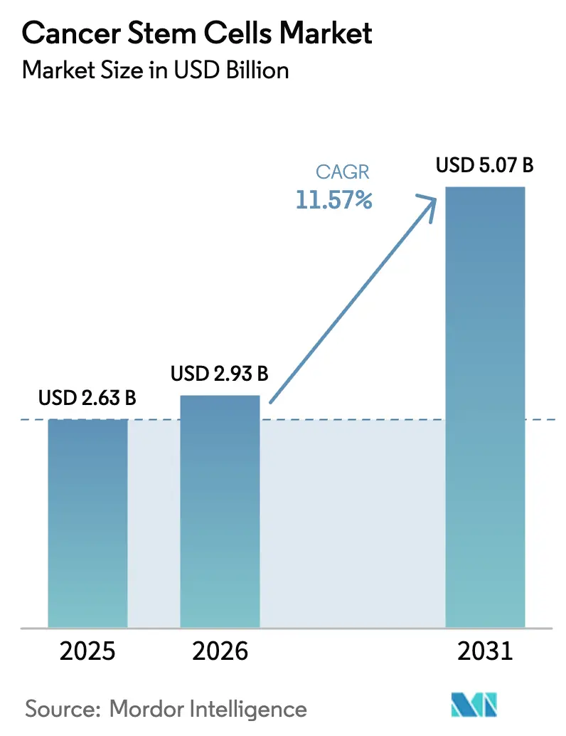 Cancer Stem Cells Market (2025 - 2030)