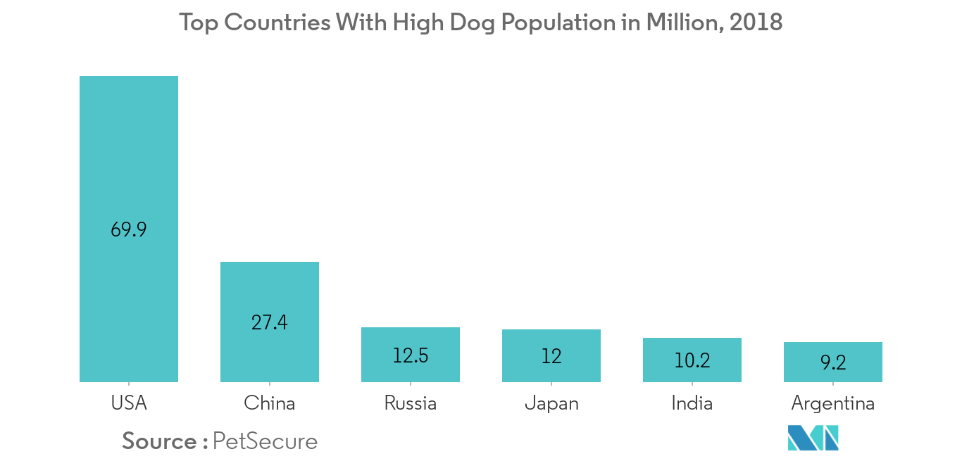 犬关节炎 - 1