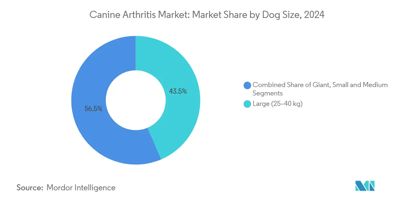 Canine Arthritis Market: Market Share by Dog Size