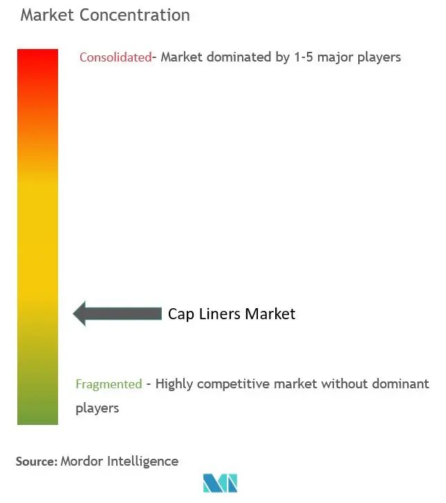 Cap Liners Market Concentration