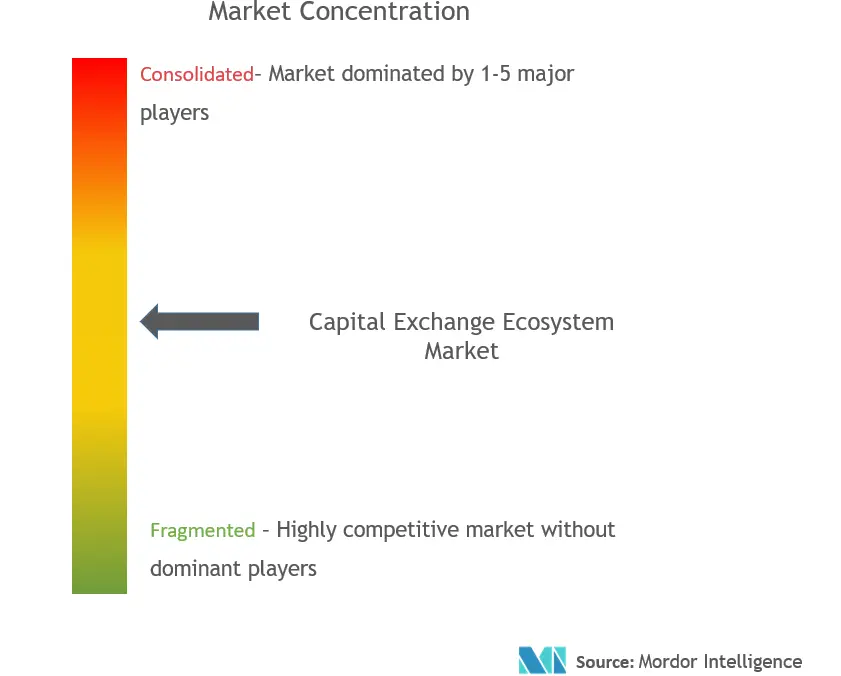 Capital Exchange Ecosystem Market Concentration