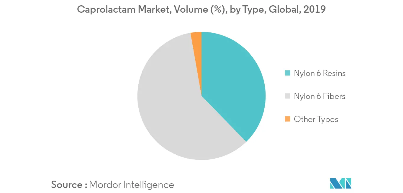 Caprolactam Market - Segmentation Trends