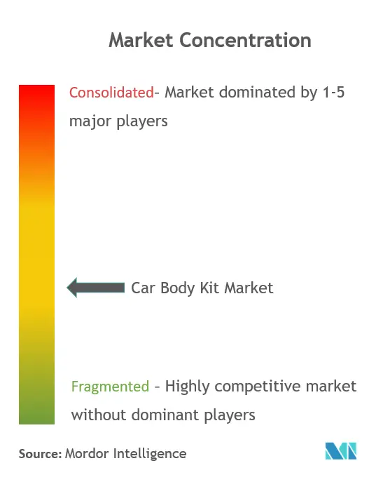 Car body Kit Market Concentration