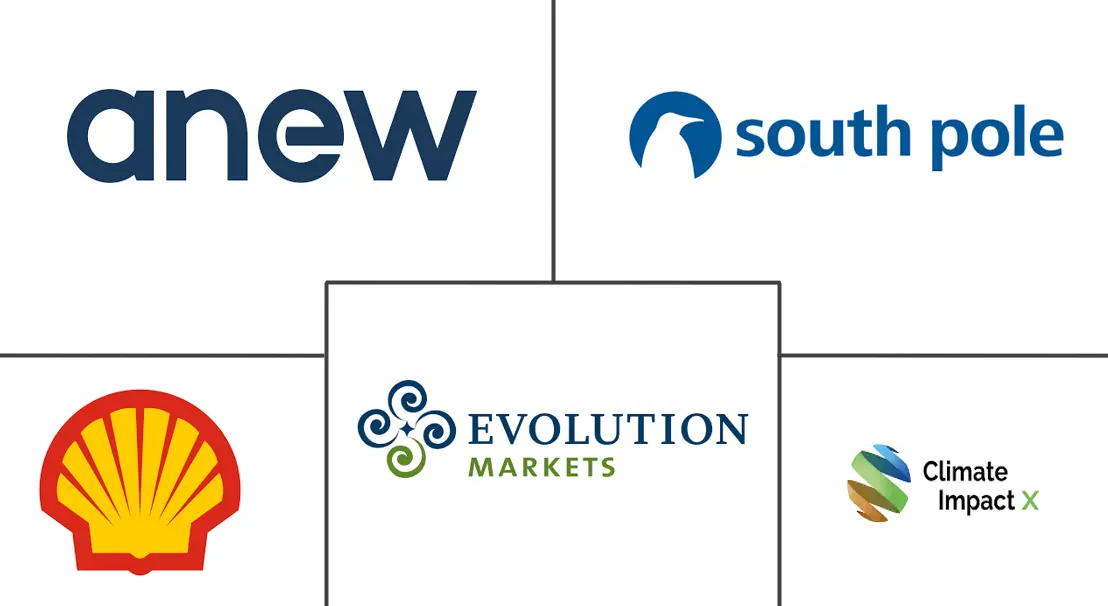 Major players in Carbon Credit industry