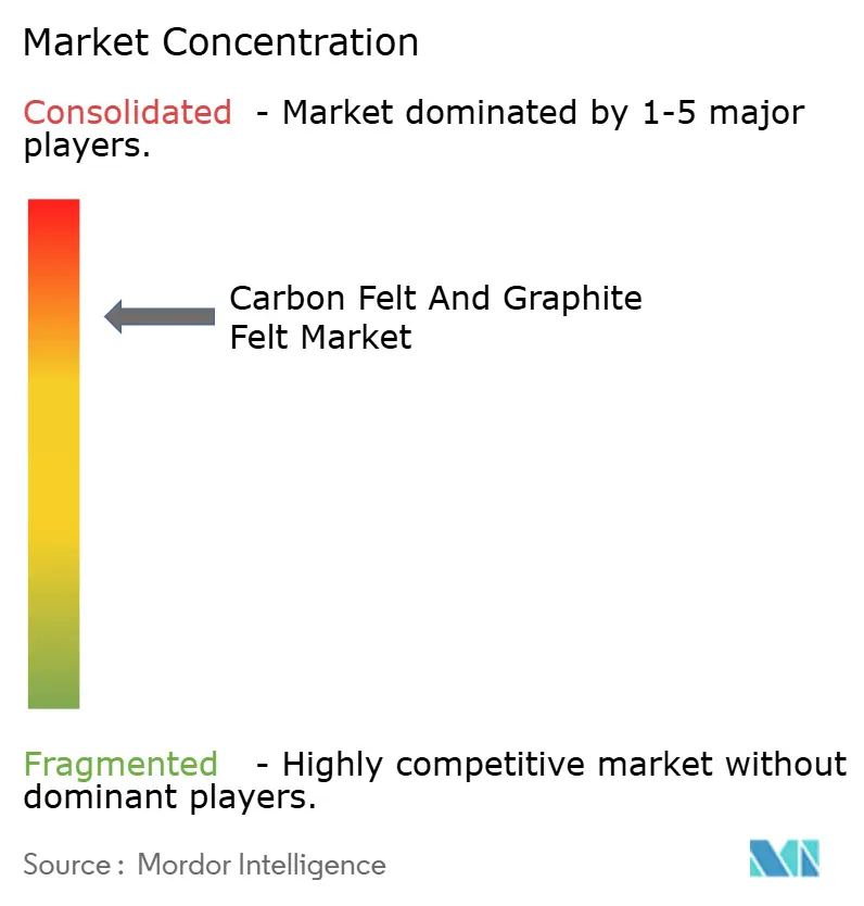 Concentración del Mercado de Fieltro de Carbono y Fieltro de Grafito