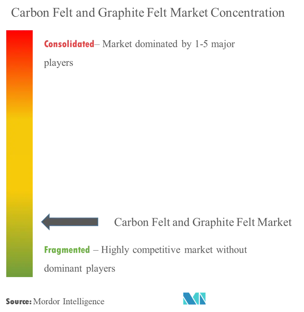 Carbon Felt and Graphite Felt Market - Market Concentration.png