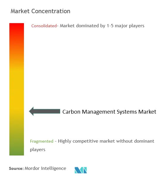 Concentration du marché du système de gestion du carbone