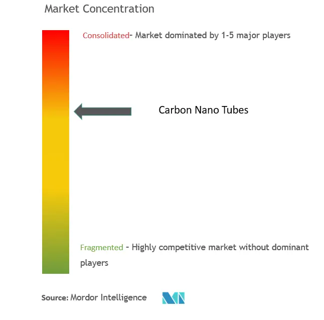 Carbon Nanotubes Market Concentration