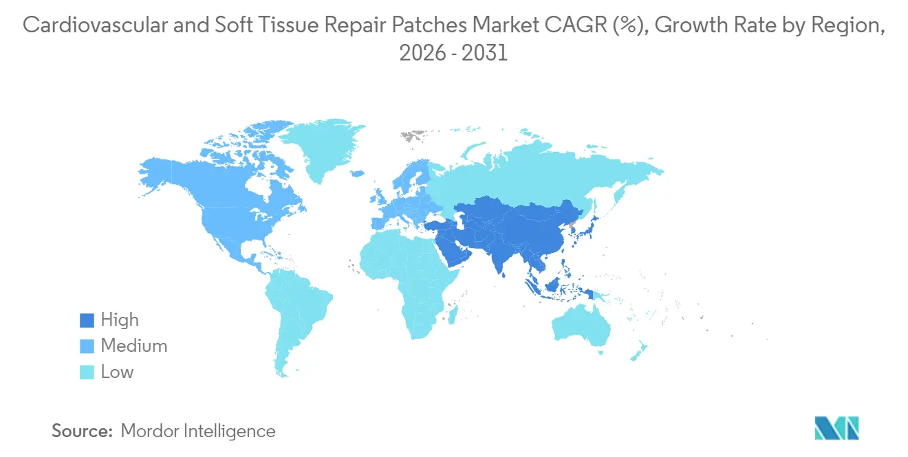 Cardiovascular and Soft Tissue Repair Patches Market