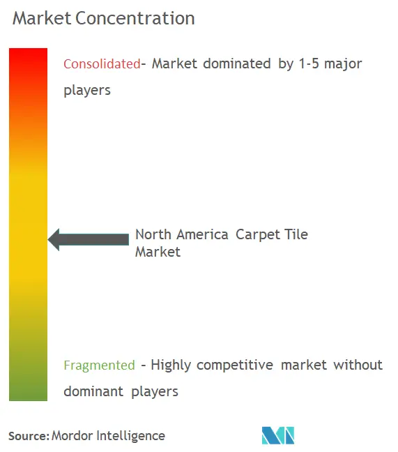 Concentração do mercado de carpetes na América do Norte