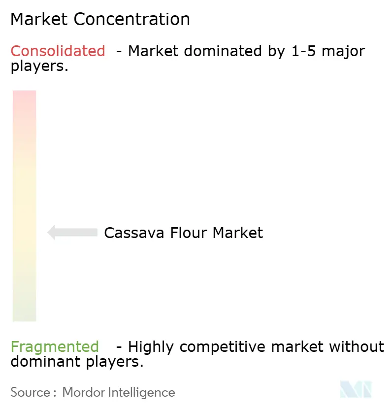 Cassava Flour Market Concentration