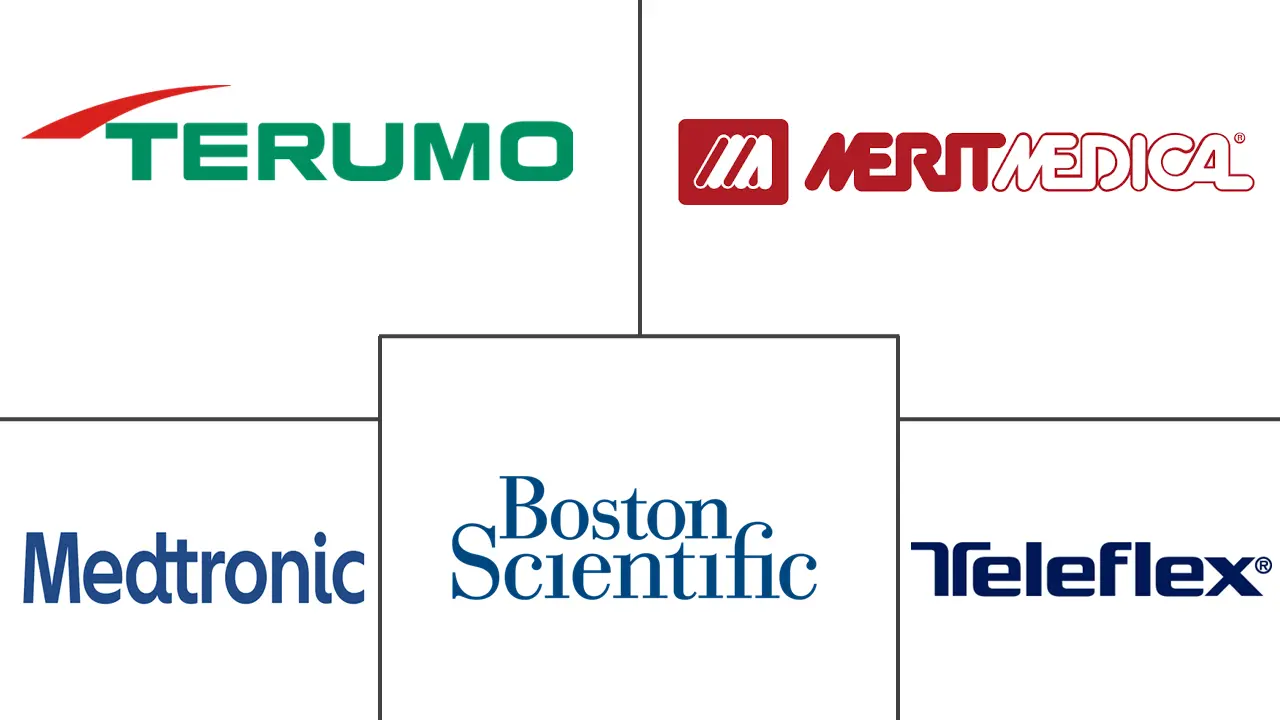 Major players in Catheter Introducer Sheaths industry