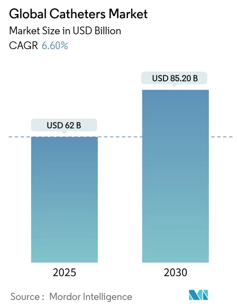 Global Catheters Market (2025 - 2030)