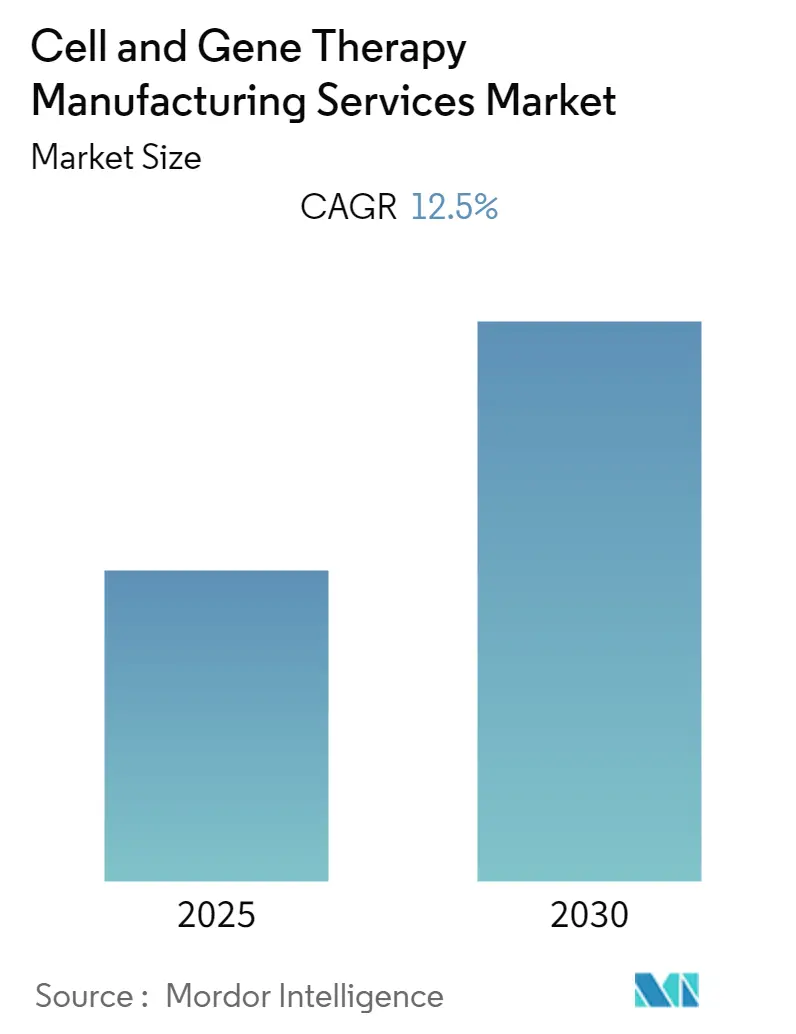 Cell and Gene Therapy Manufacturing Services Market Size Cell and Gene Therapy Manufacturing Services Market Summary