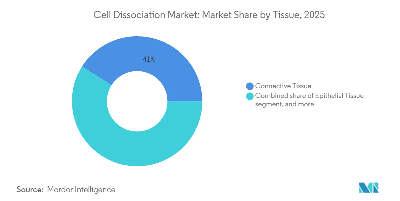 Cell Dissociation Market: Market Share by Tissue, 2025