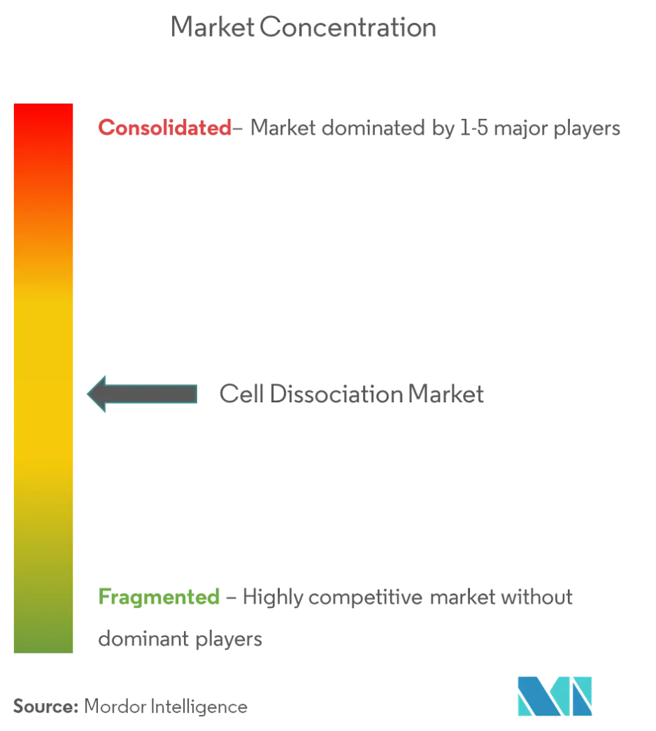 Cell Dissociation - 4