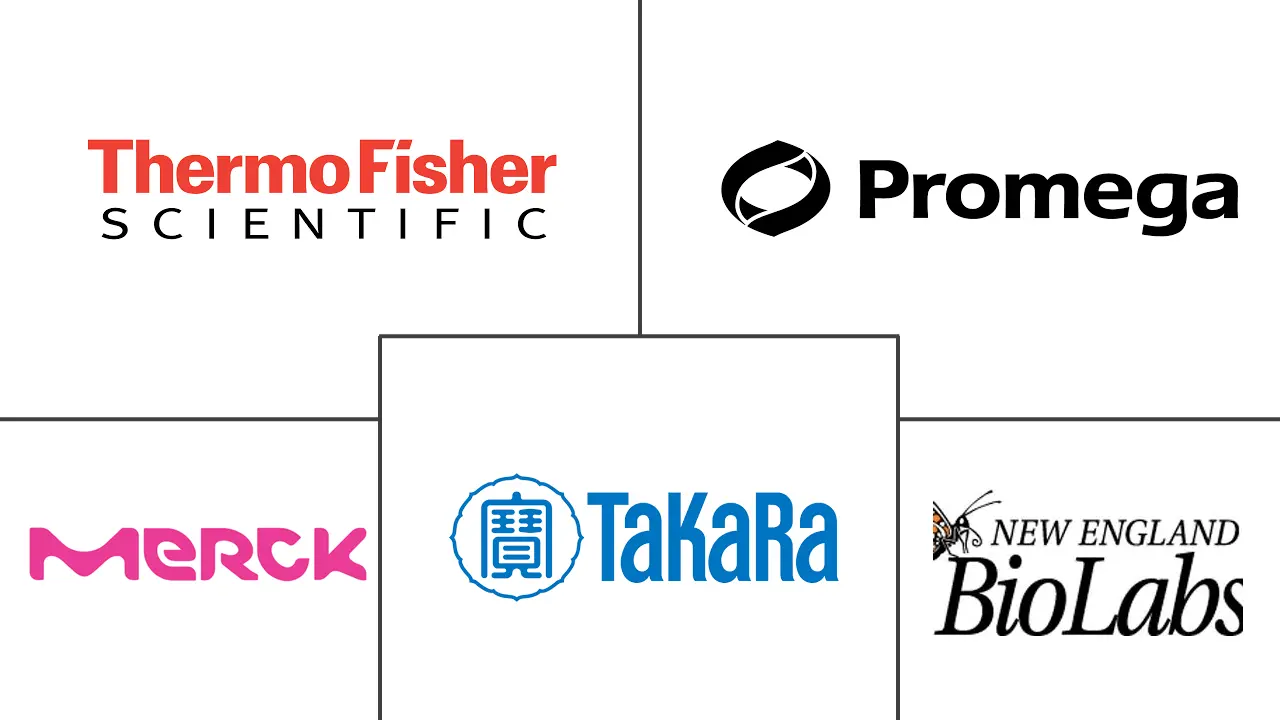 Related Companies Logo
