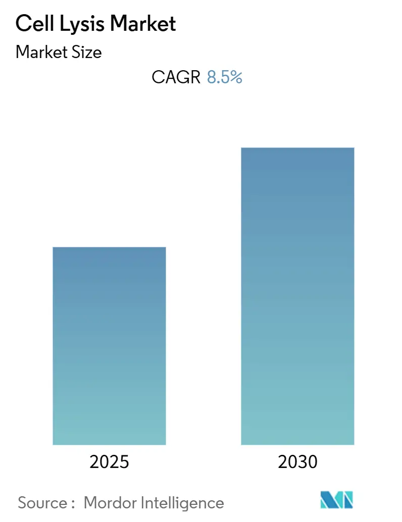 Cell Lysis Market (2025 - 2030)
