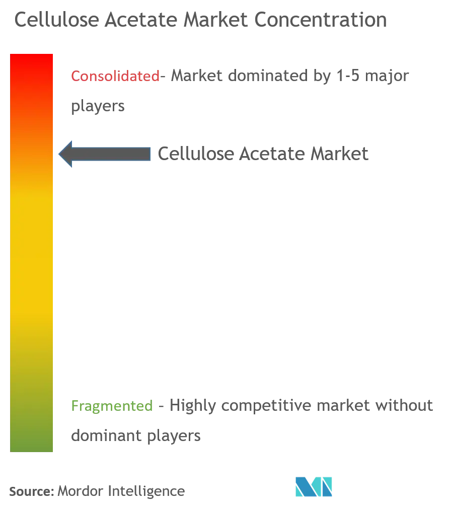 Cellulose Acetate Market- Market Concentration.png