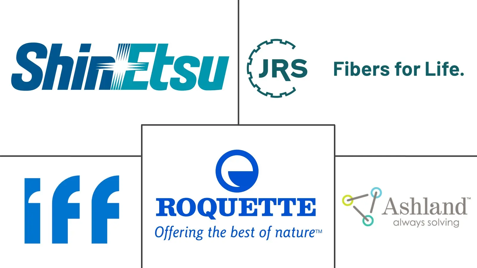 Major players in Cellulose Derivative Excipient industry