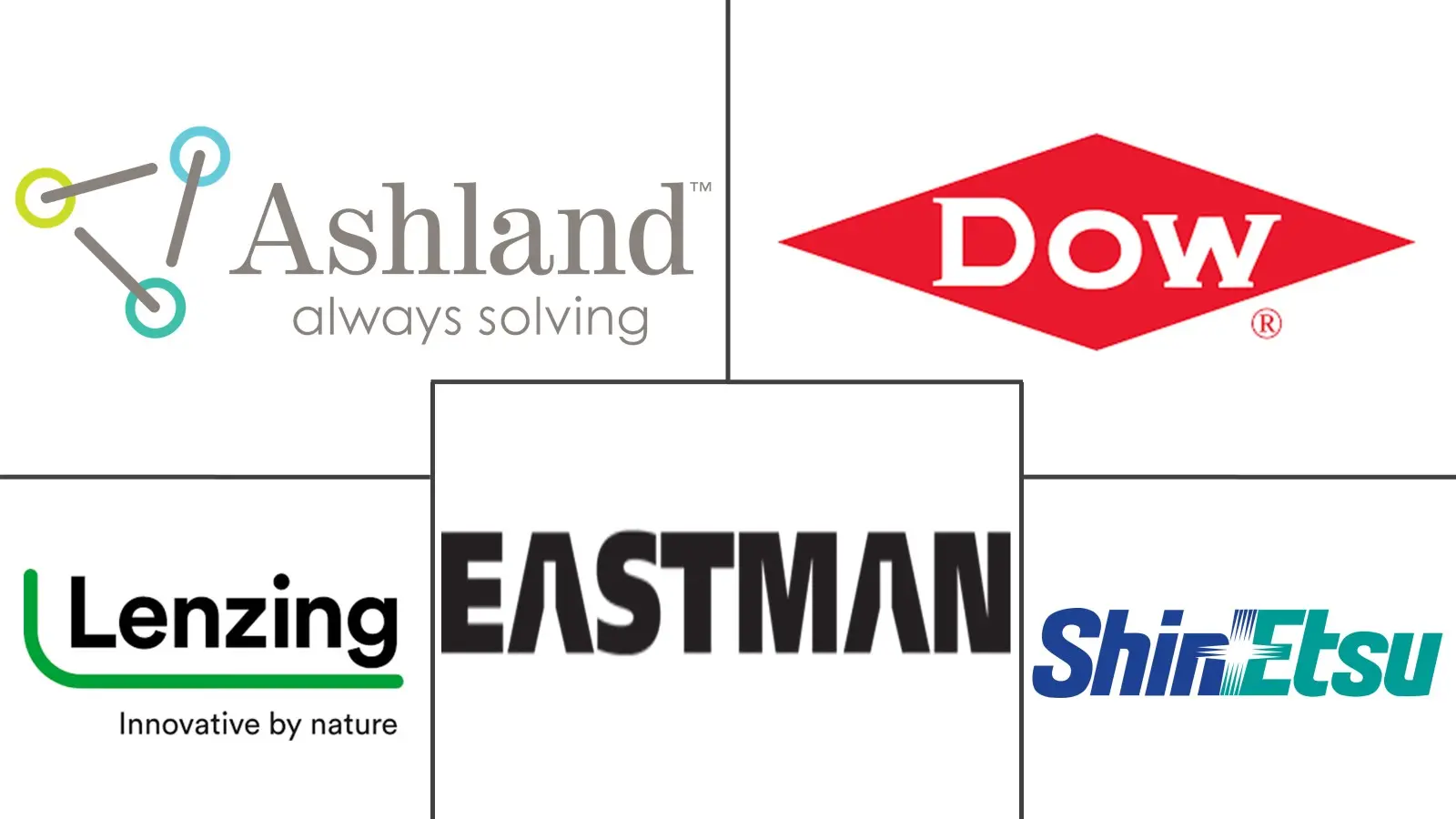 Cellulose Derivatives Market Major Players Cellulose Derivatives Market Major Players