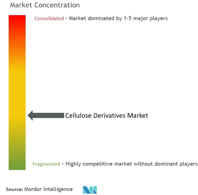 Cellulose Derivatives Market Concentration