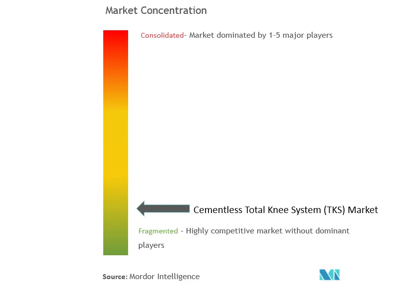 Cementless Total Knee System (TKS) Market Concentration