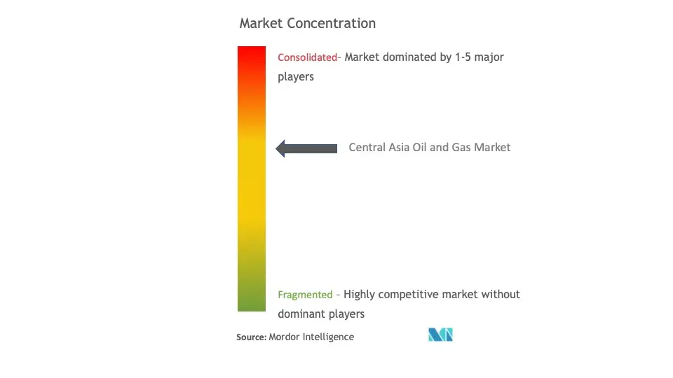 Central Asia Oil and Gas Market Concentration