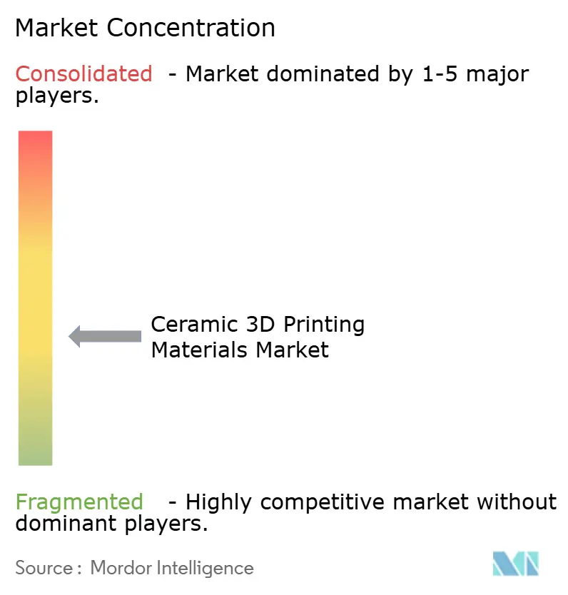 Ceramic 3D Printing Materials Market Concentration