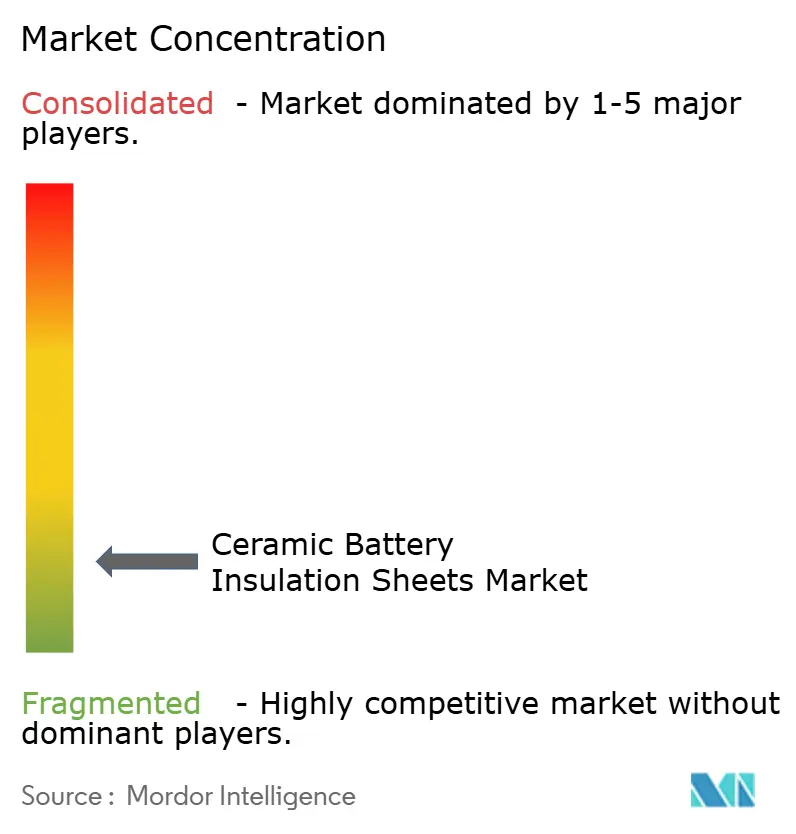 Ceramic Battery Insulation Sheets Market Concentration