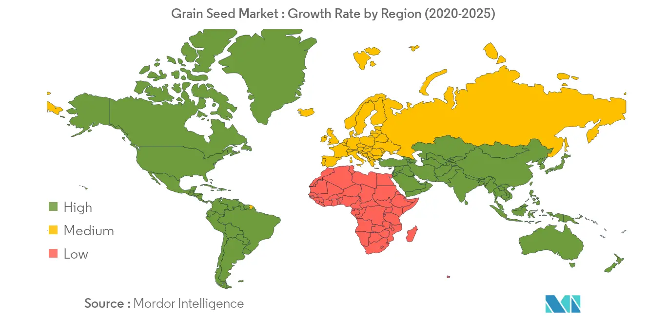 Grain Seed Market