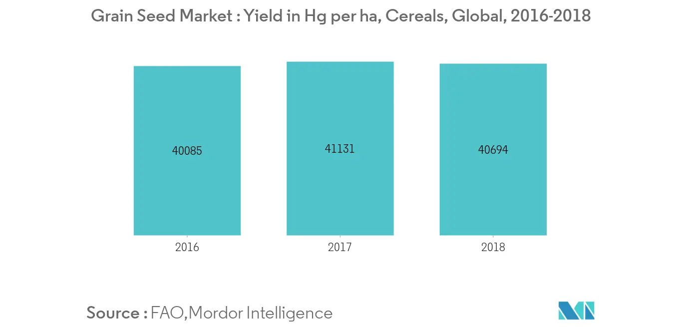 Grain Seed Market