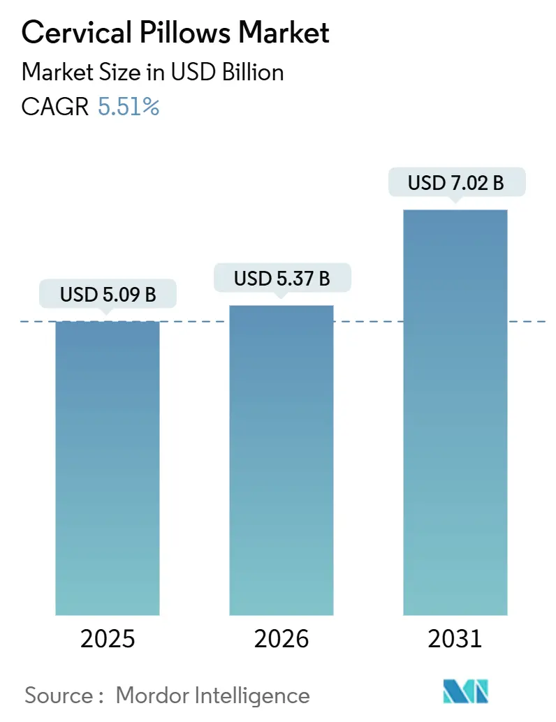 Cervical Pillows Market (2026 - 2031)