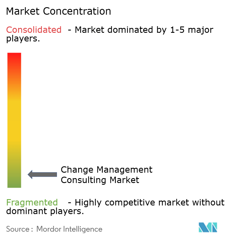 Change Management Consulting Market Concentration