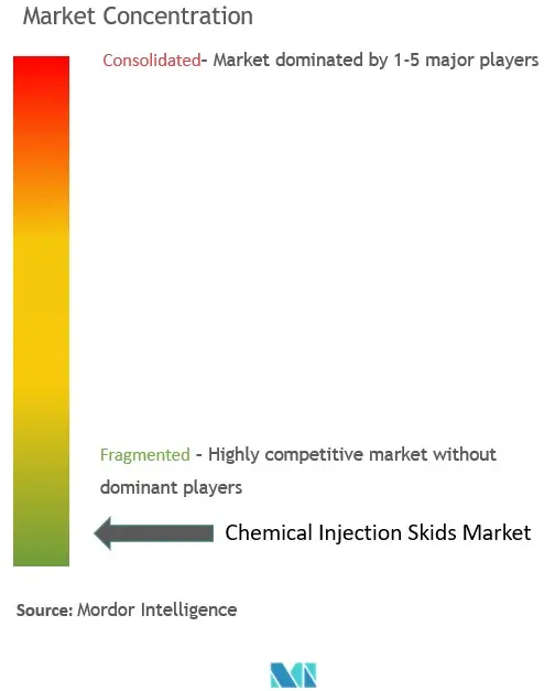 Chemical Injection Skids Market Concentration