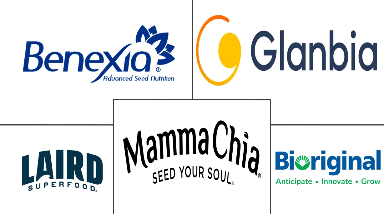 Major players in Chia Seeds industry