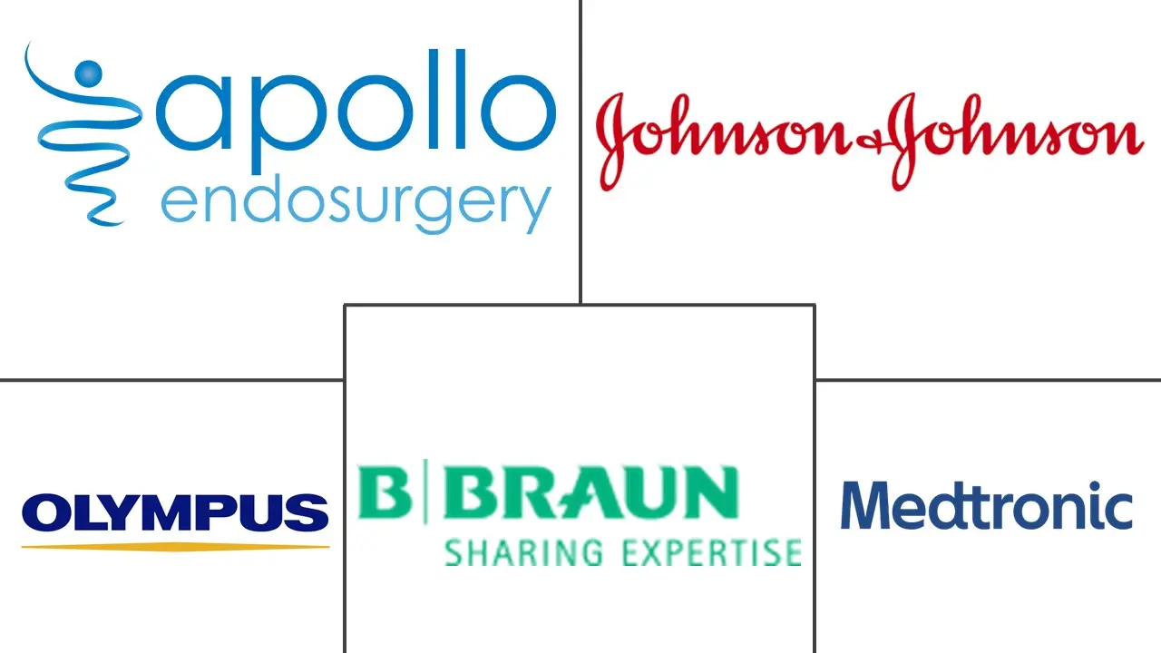Major players in Chile Bariatric Surgery industry