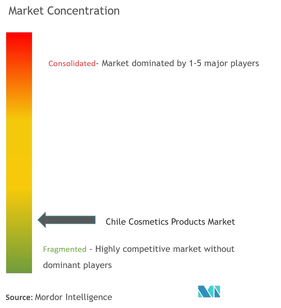 Chile Cosmetics Products Market Concentration