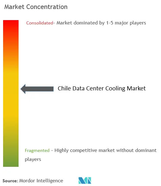 Chile Data Center Cooling Market - Market Concentration