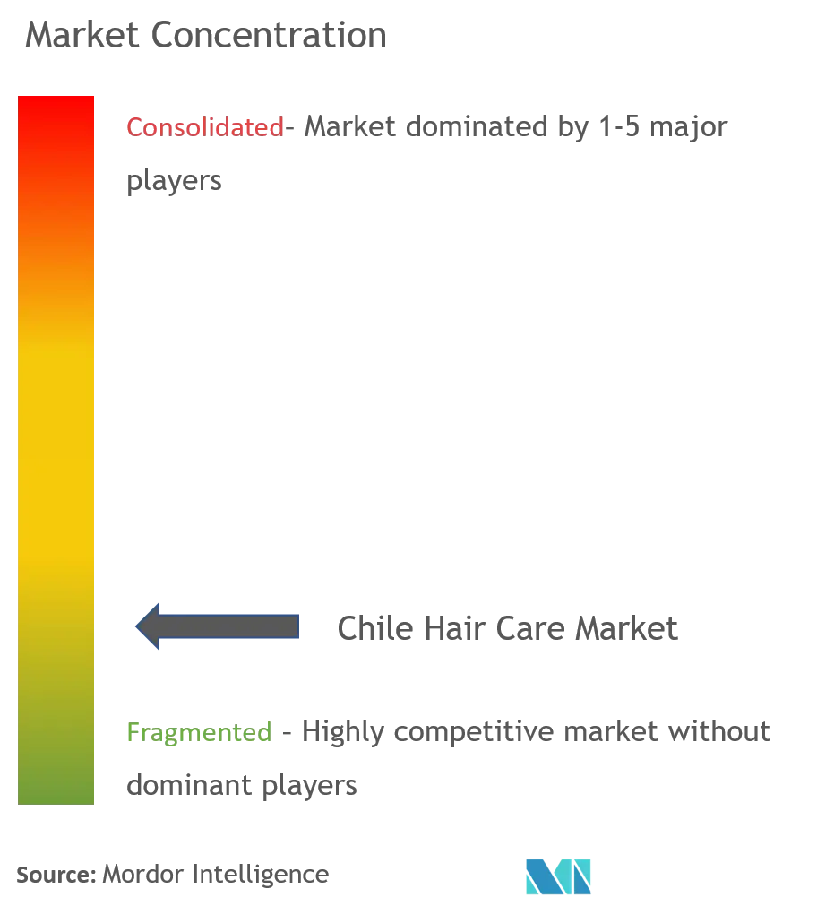 Chile Hair Care Market Concentration