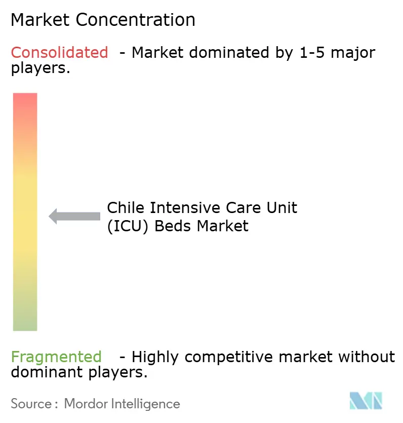 Chile Intensive Care Unit (ICU) Beds Market Concentration