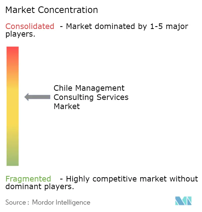 Chile Management Consulting Services Market Concentration