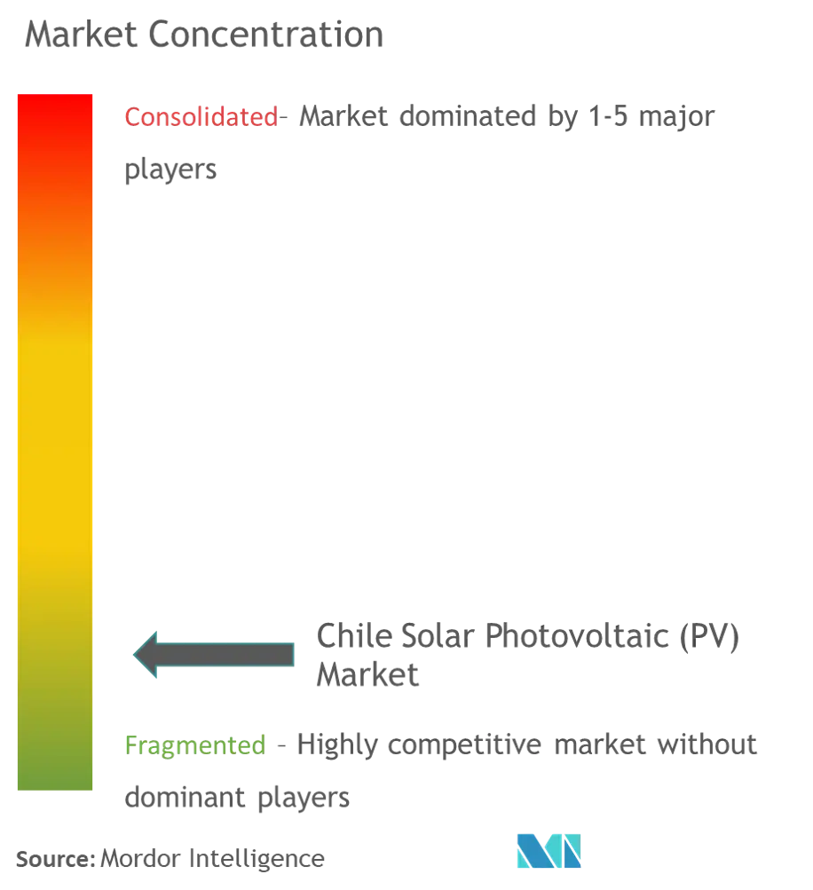 Chile Solar - Market Concentration.png