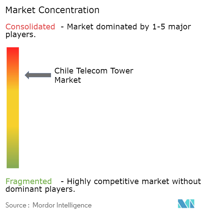 Chile Telecom Tower Market Concentration