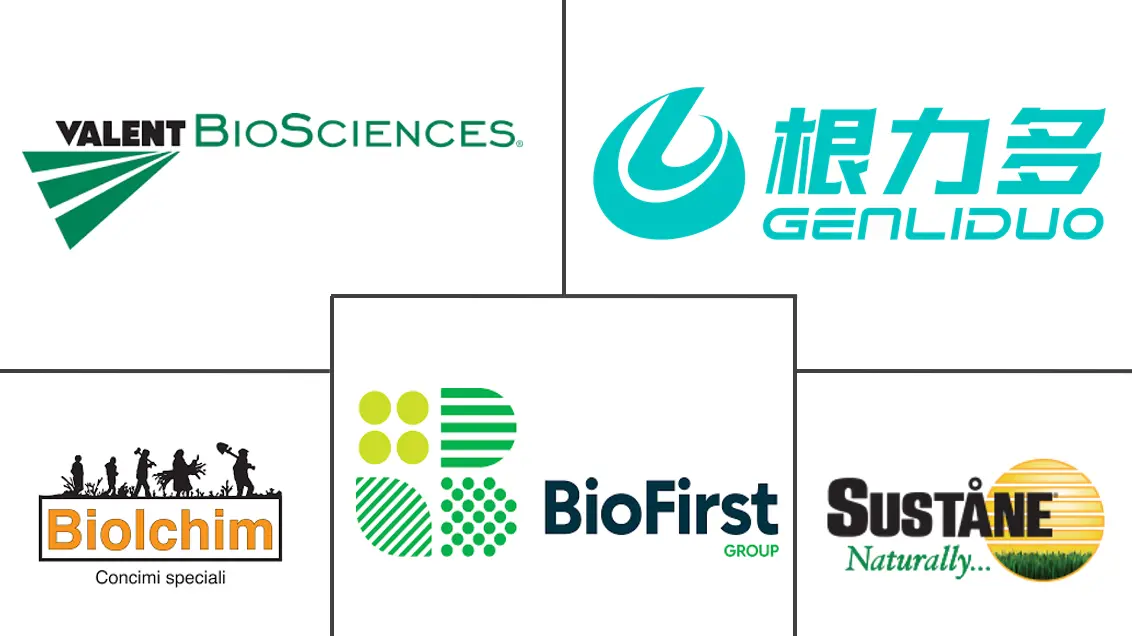 I principali attori del settore dei prodotti biologici per l'agricoltura in Cina