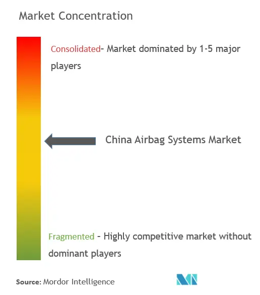 China Airbag Systems Market Concentration